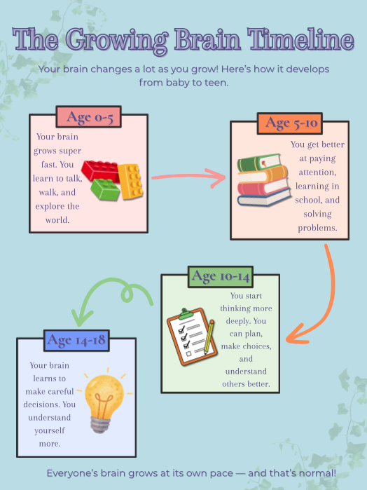 The Growing Brain Timeline