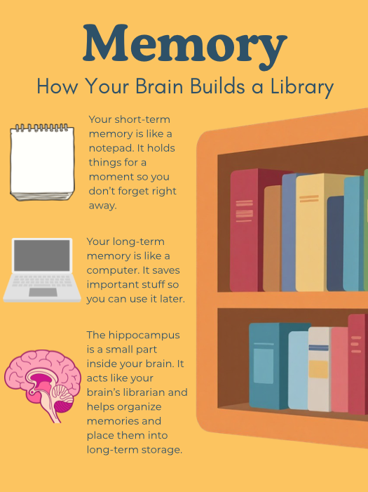 Memory: How Your Brain Builds a Library